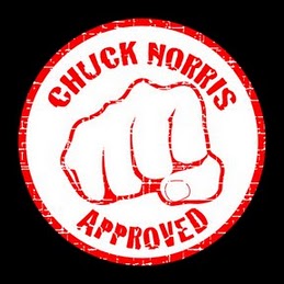 chuck norris approved